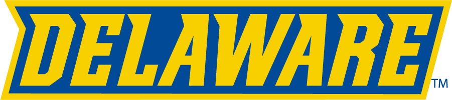 Delaware Blue Hens 2018-Pres Wordmark Logo v2 diy DTF decal sticker